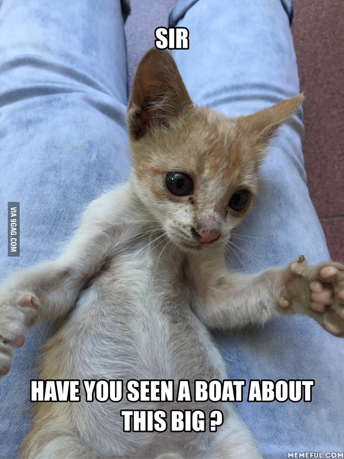 maybe i should buy a boat