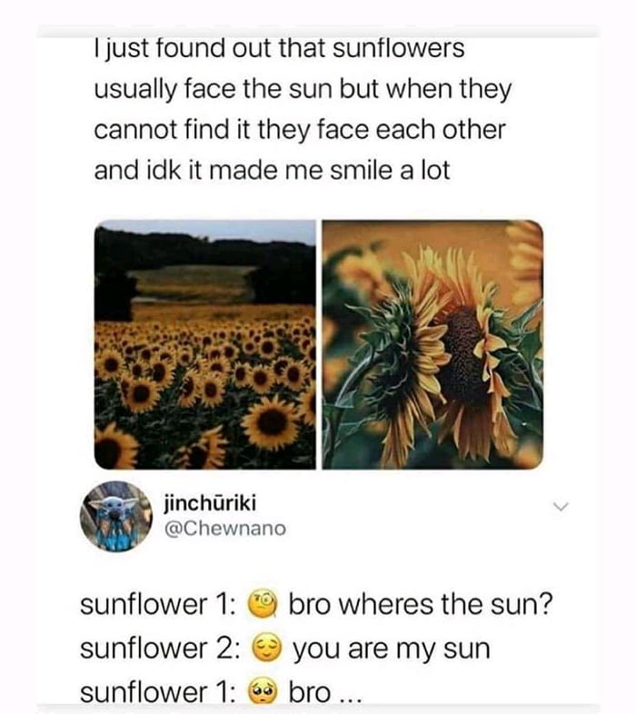 I m not your bro pal 9gag