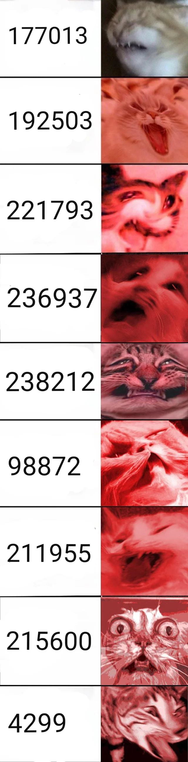 Cursed Numbers 9GAG