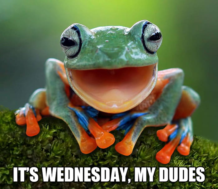 It's Wednesday My Dudes - 9GAG