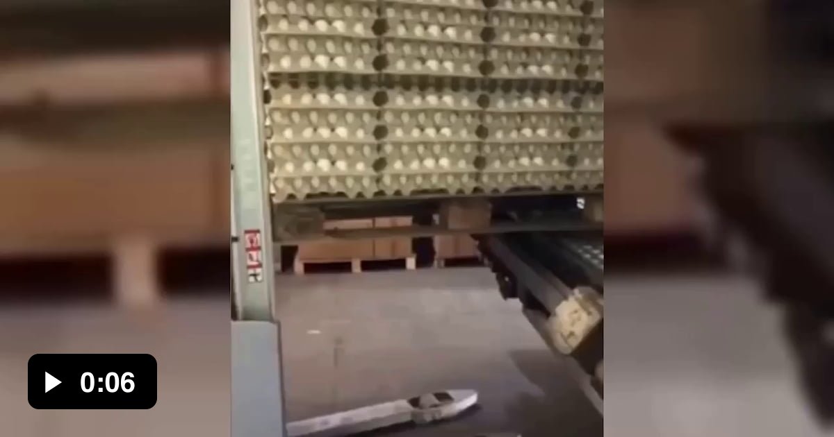 Transfer of eggs - 9GAG