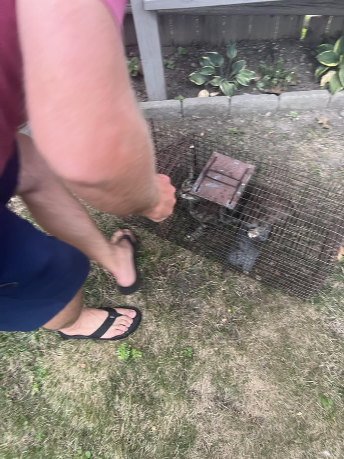 Homeowner put out a have a heart trap and went on vacation 9gag