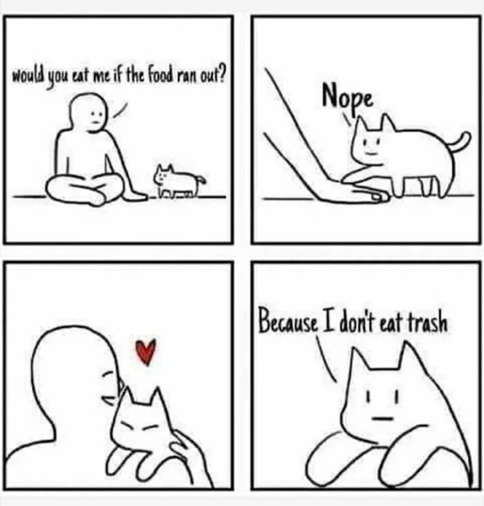 Your cat will eat you in few days if you die, unless you are in