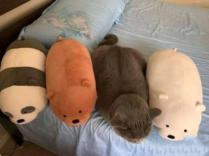 we bare bears squishmallow