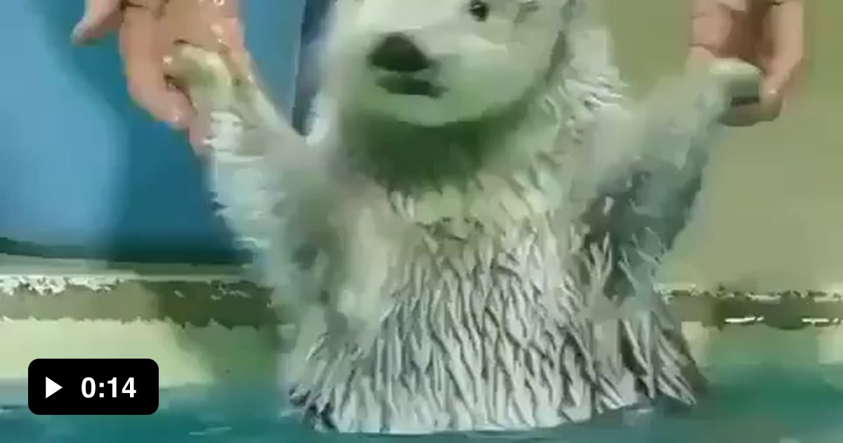 The Cutest Face 9gag