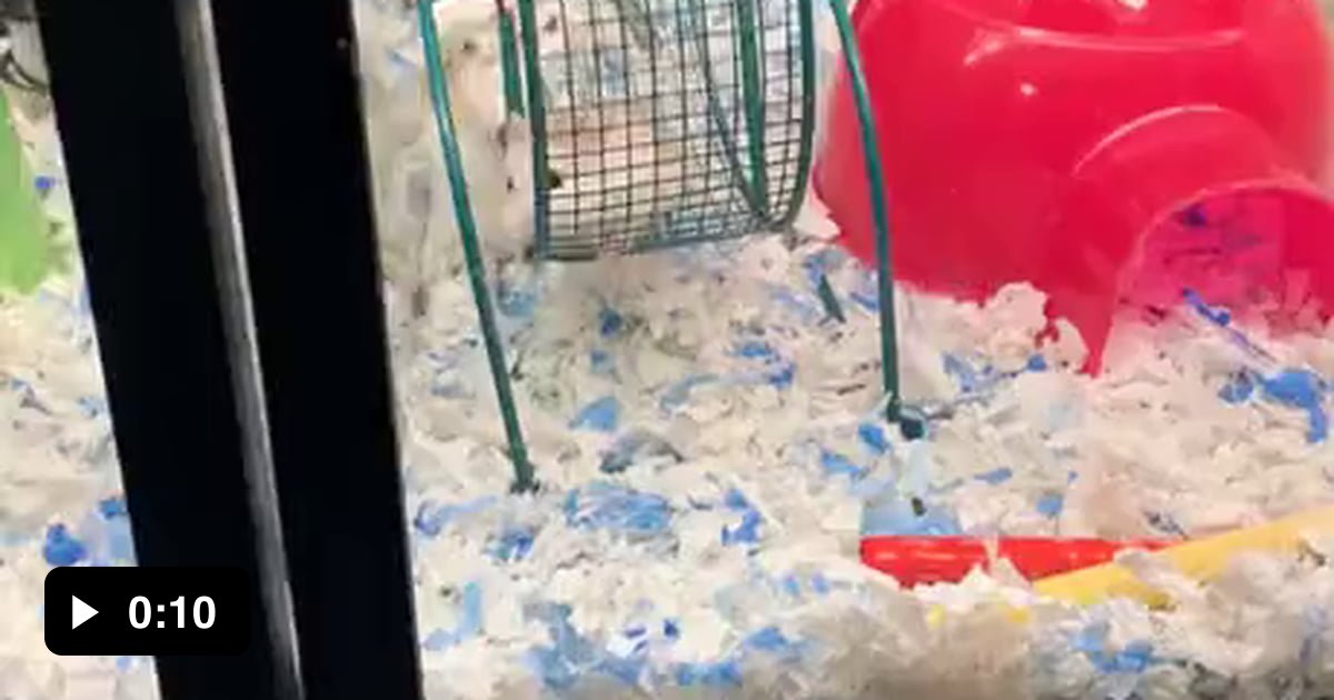 I'm just here for the ride 9GAG