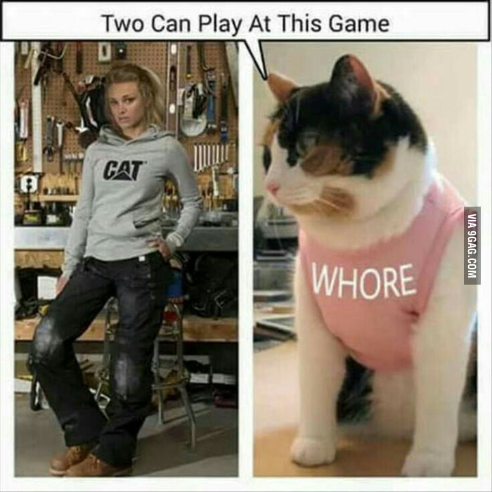 The cat..the cat wears it better - 9GAG
