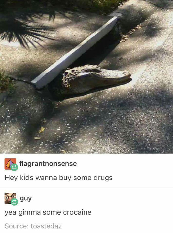 See You Later Alligator 9gag
