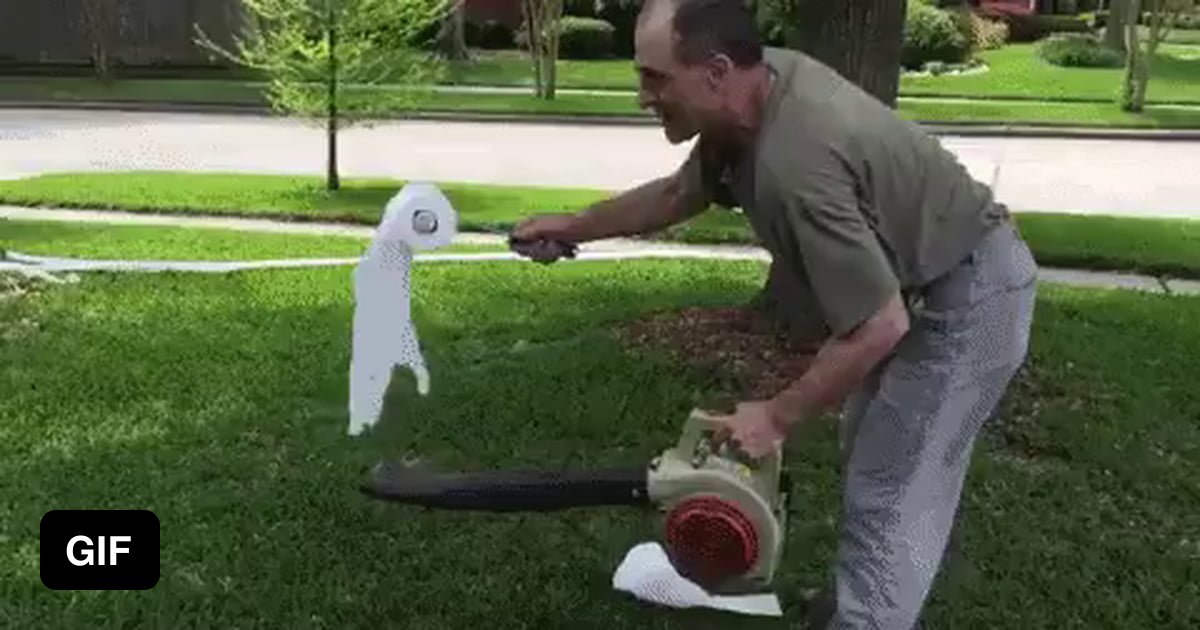 Toilet Paper Leaf Blower Fun 9gag 3579