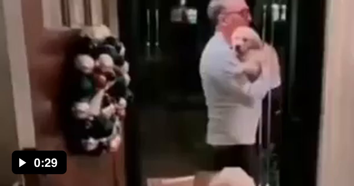 He was so excited to meet his new friend so he brought it a toy - 9GAG