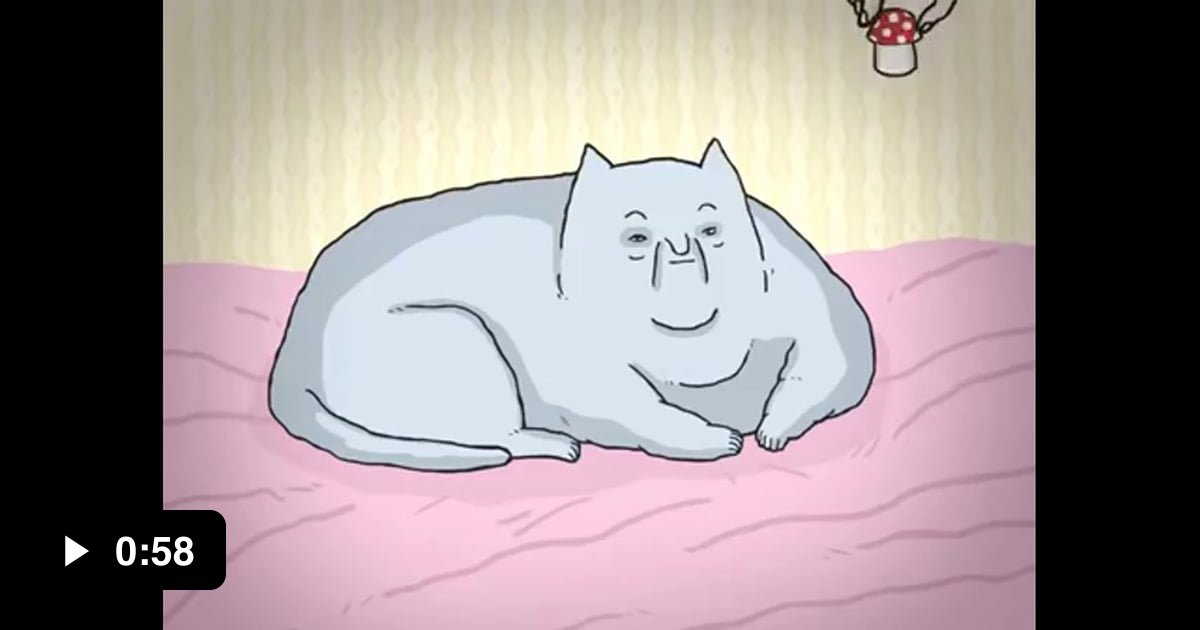 What to do if you re a cat 9gag