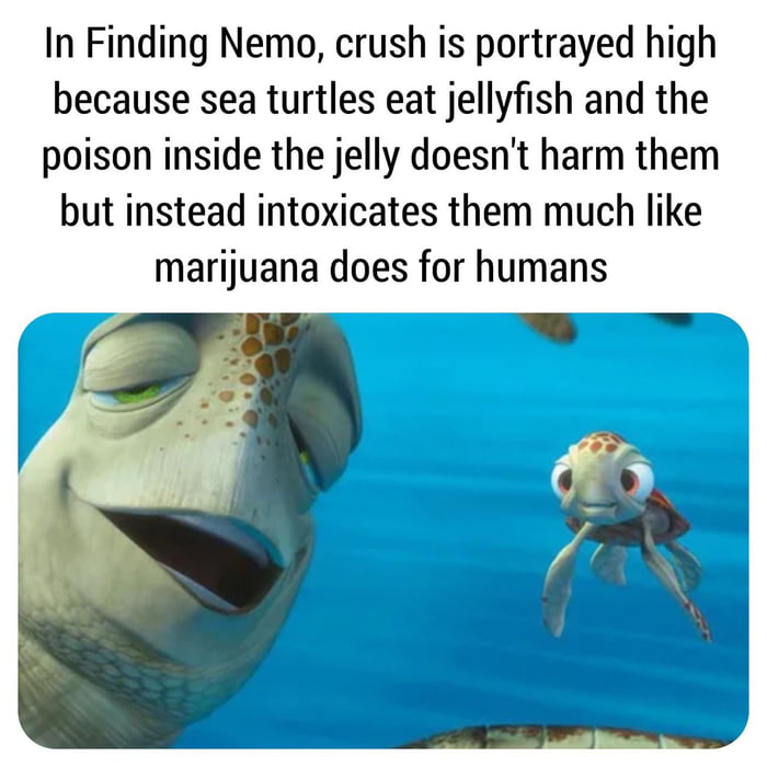 Turtles insights from Disney - 9GAG