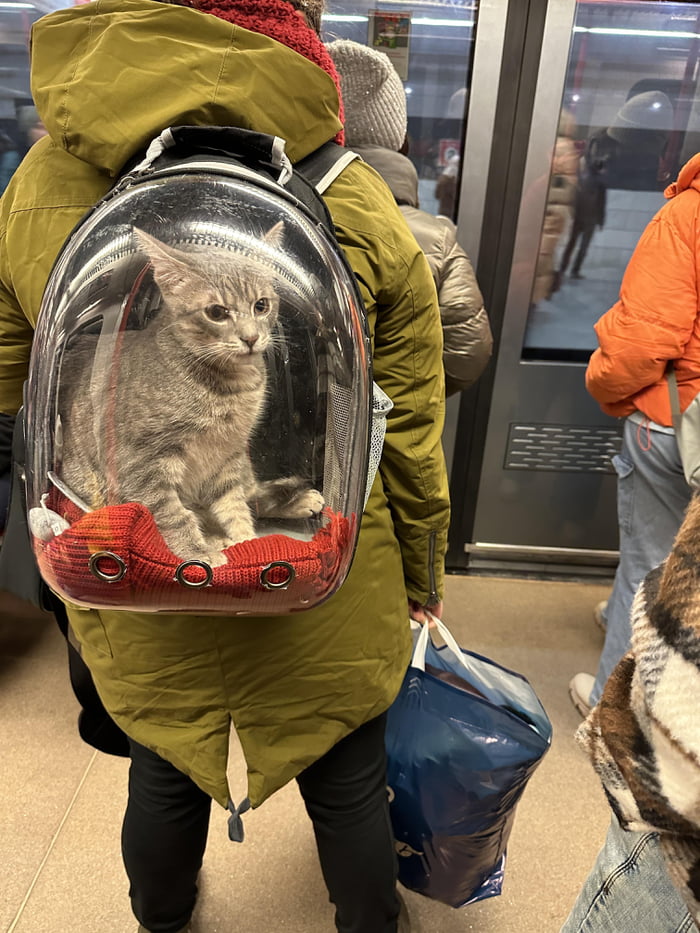 Just wanted to share this cool cat carrier - 9GAG