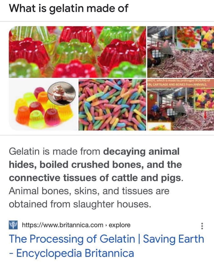 What is gelatin made of?💡 - 9GAG