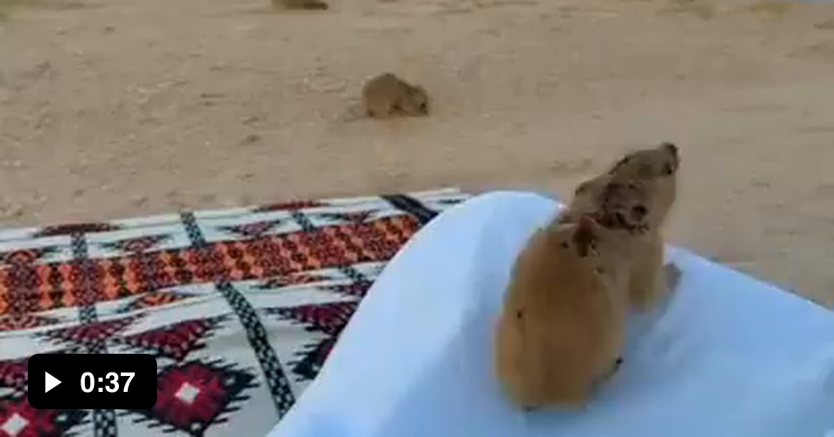 How much coffee do you want? Yes 9GAG