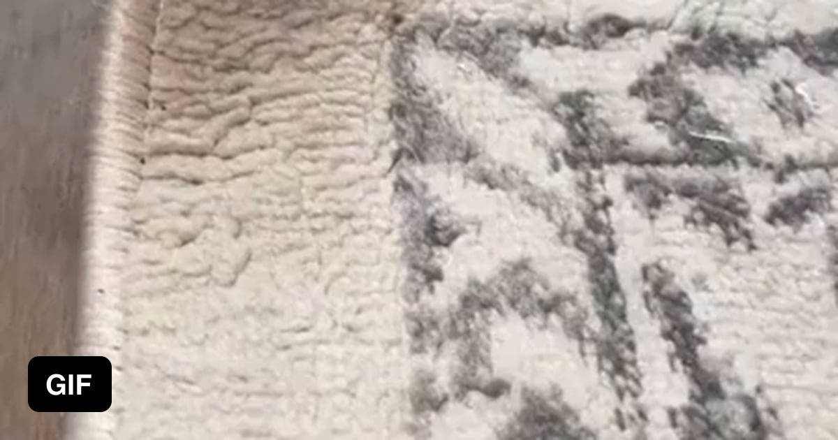 How to fix a curved rug 9GAG