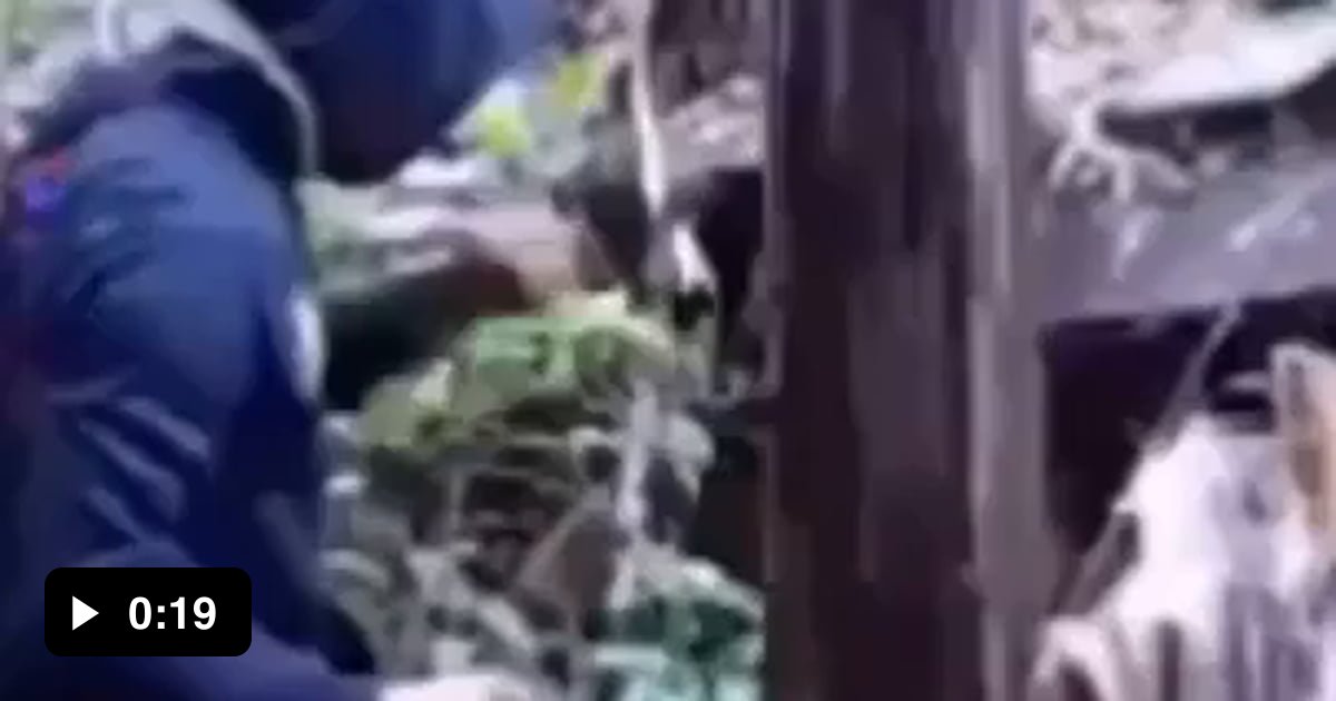 Man Punches A Tree Down 9GAG