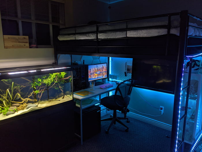Loft Bed Aquarium Gaming Setup Gag