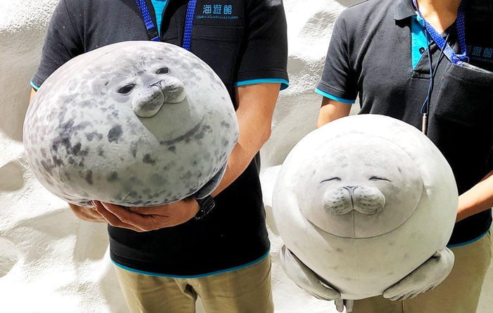 felissimo seal plush