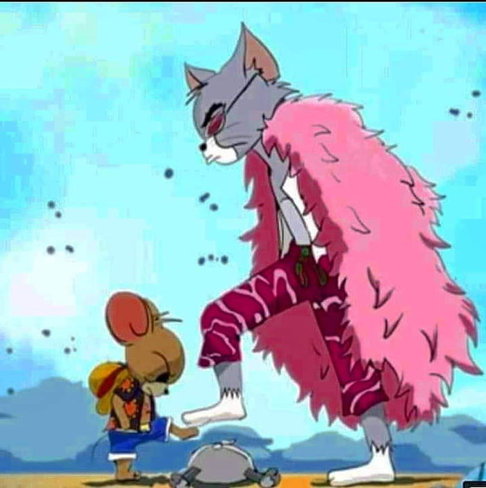 Mouse D. Jerry vs. Tomflamingo 9GAG