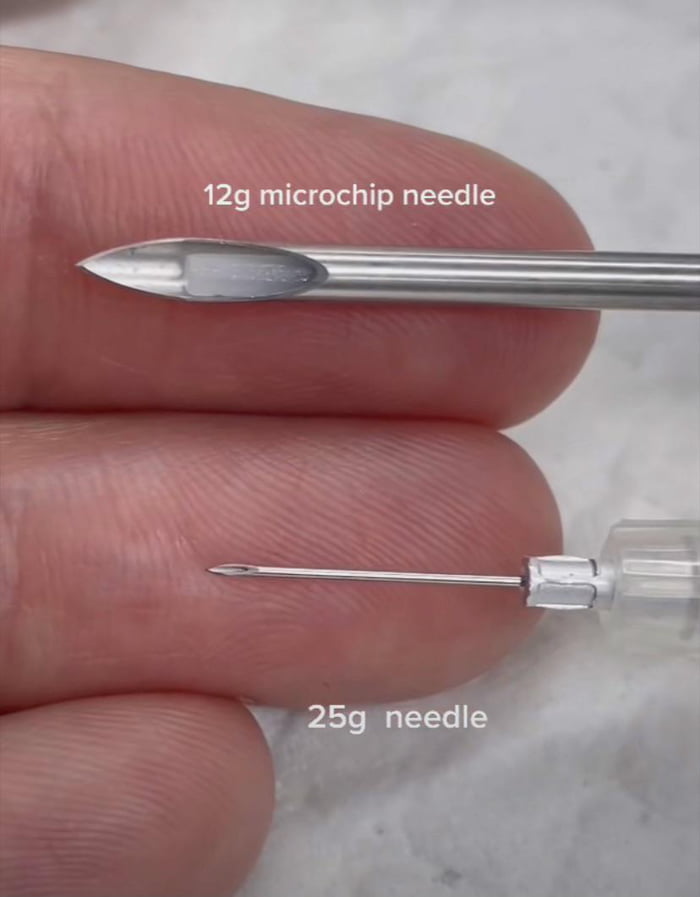 Microchip Needle Vs Vaccine Needle Size 9GAG