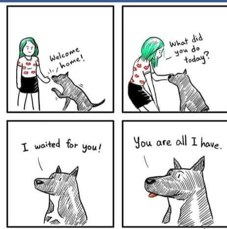I should not be crying - 9GAG