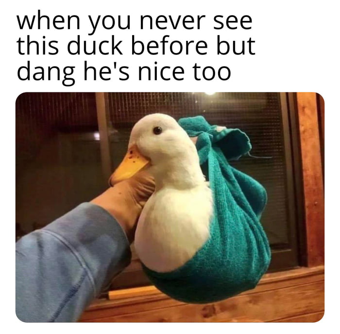 He's nice too - 9GAG