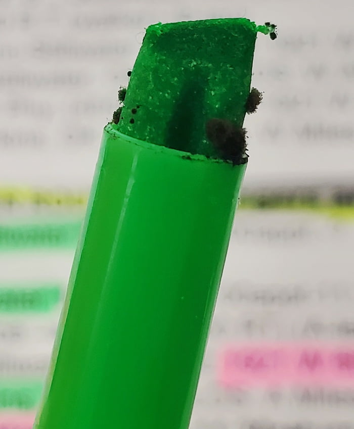 I didn't know highlighters could get mold 9GAG