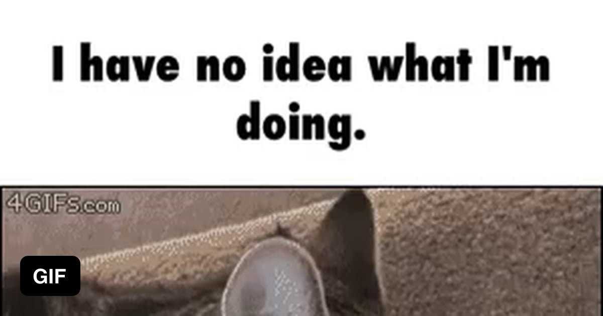 not-a-clue-9gag