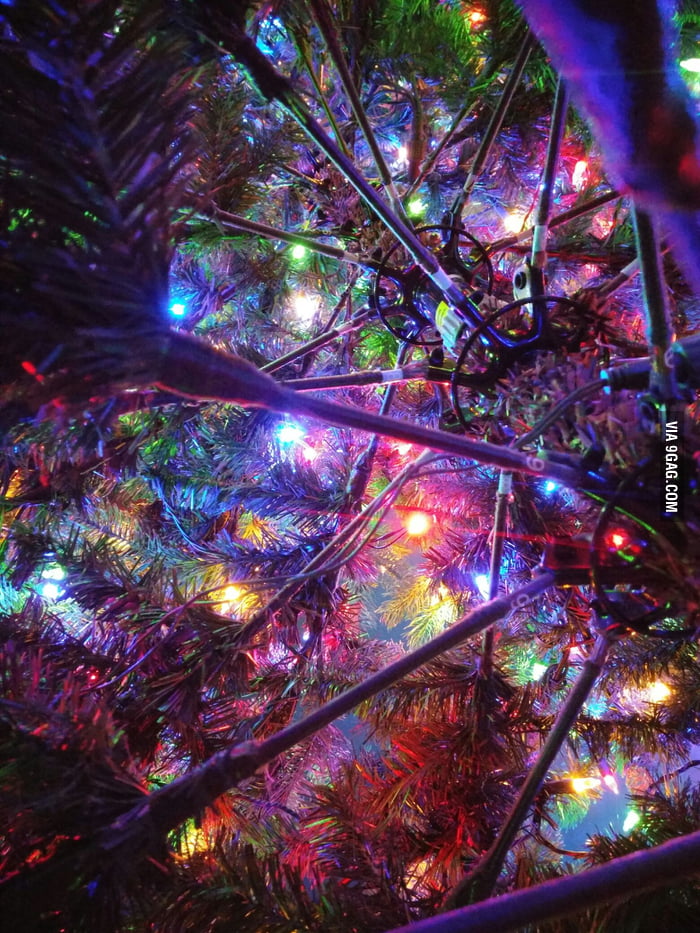 Took a picture under my christmas tree turn out pretty damn good! - 9GAG