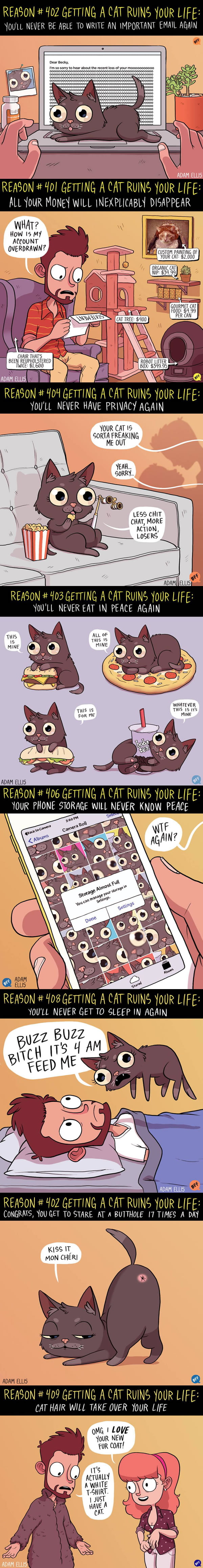 8 Ways Getting A Cat Ruins Your Life (By Adam Ellis)