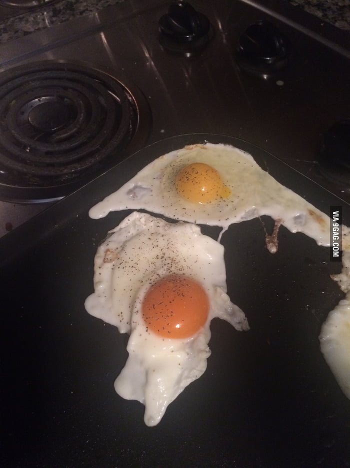 the-difference-between-store-bought-eggs-and-eggs-fresh-from-the