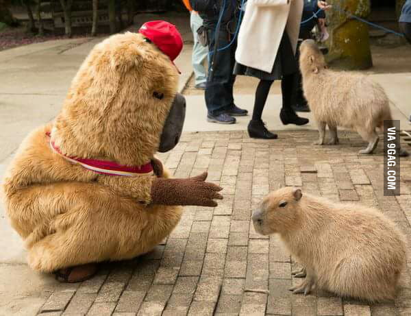 Capybara Anime Characters