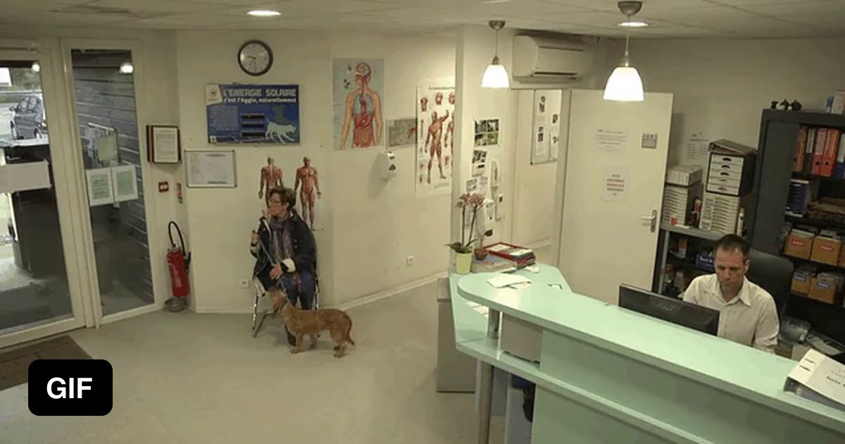 Visiting the vet - 9GAG