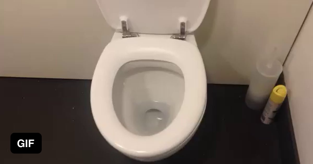 Toilet gif. Крутящийся унитаз gif.