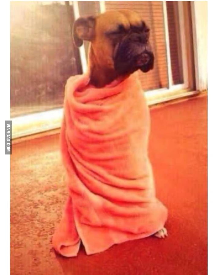 when-you-re-sick-and-you-need-something-to-eat-9gag