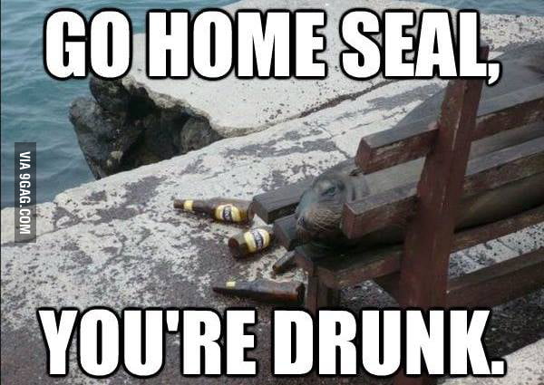 Go home you're drunk. - 9GAG