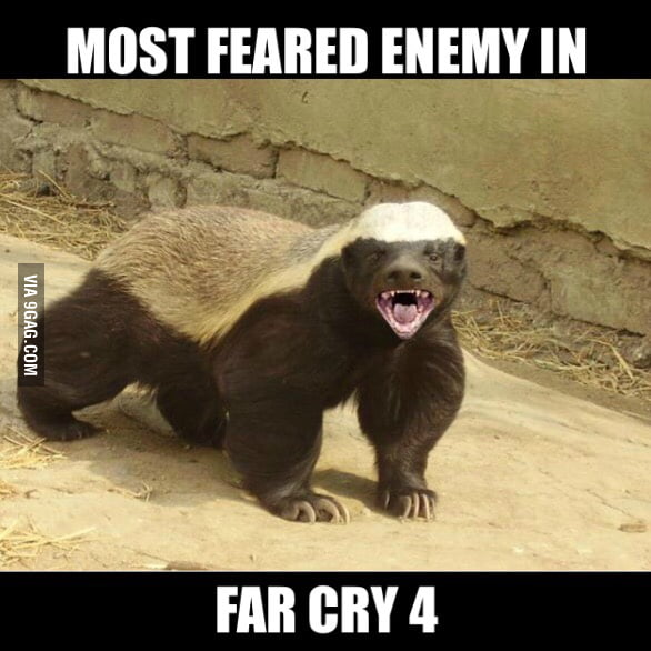 far cry 4 honey badger