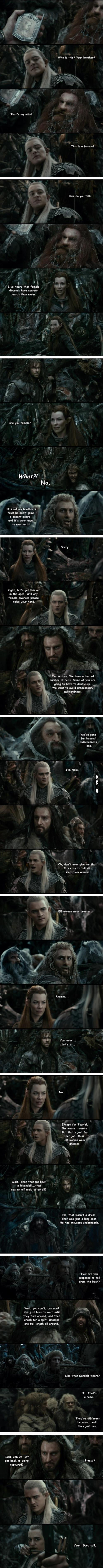 Elves and Dwarves