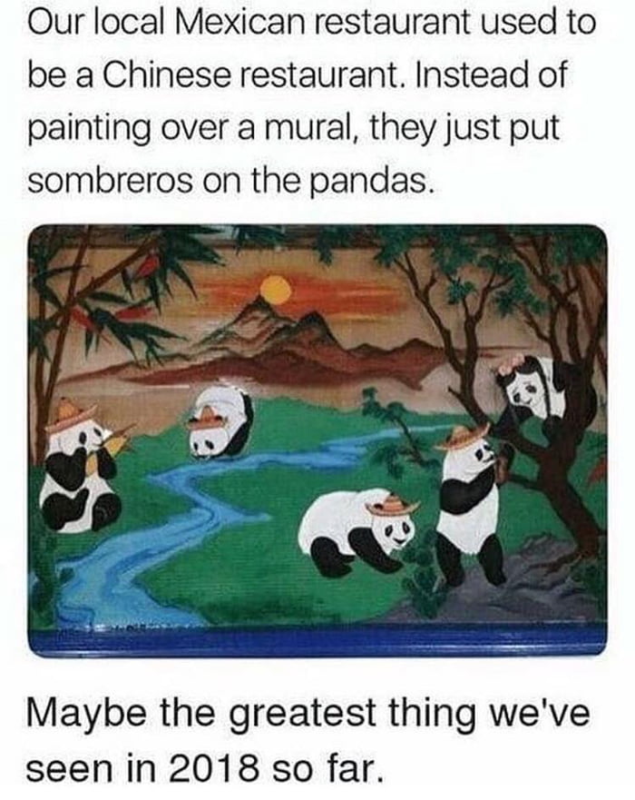 Fun Fact, Pandas Originate From Mexico (I lied) - 9GAG