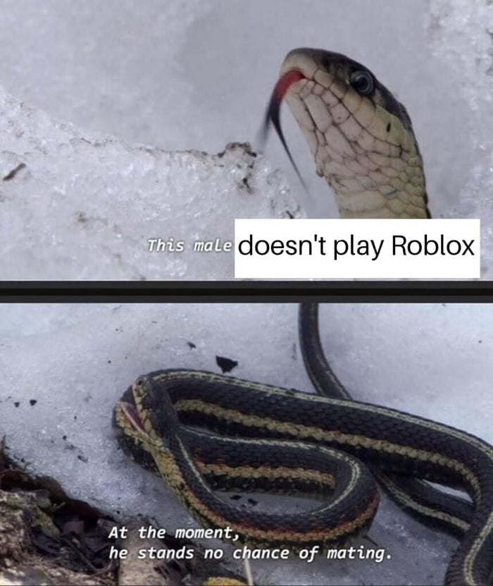 You Ded If No Play Roblox 9gag - 