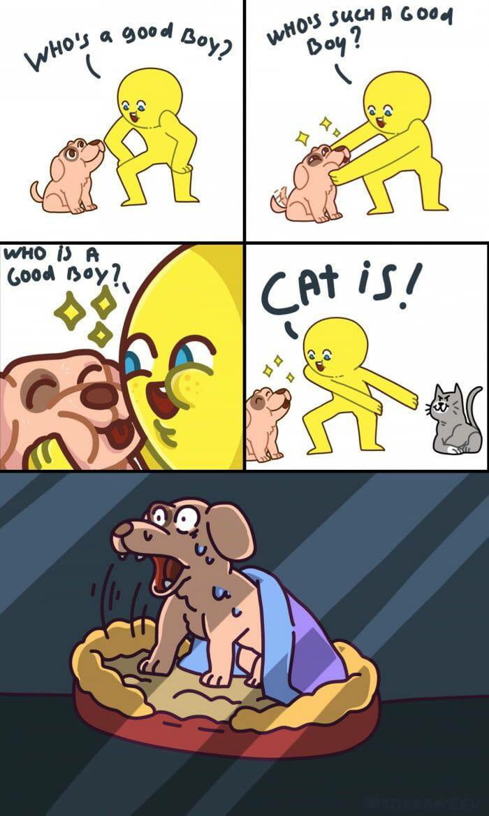 Cat is better - 9GAG