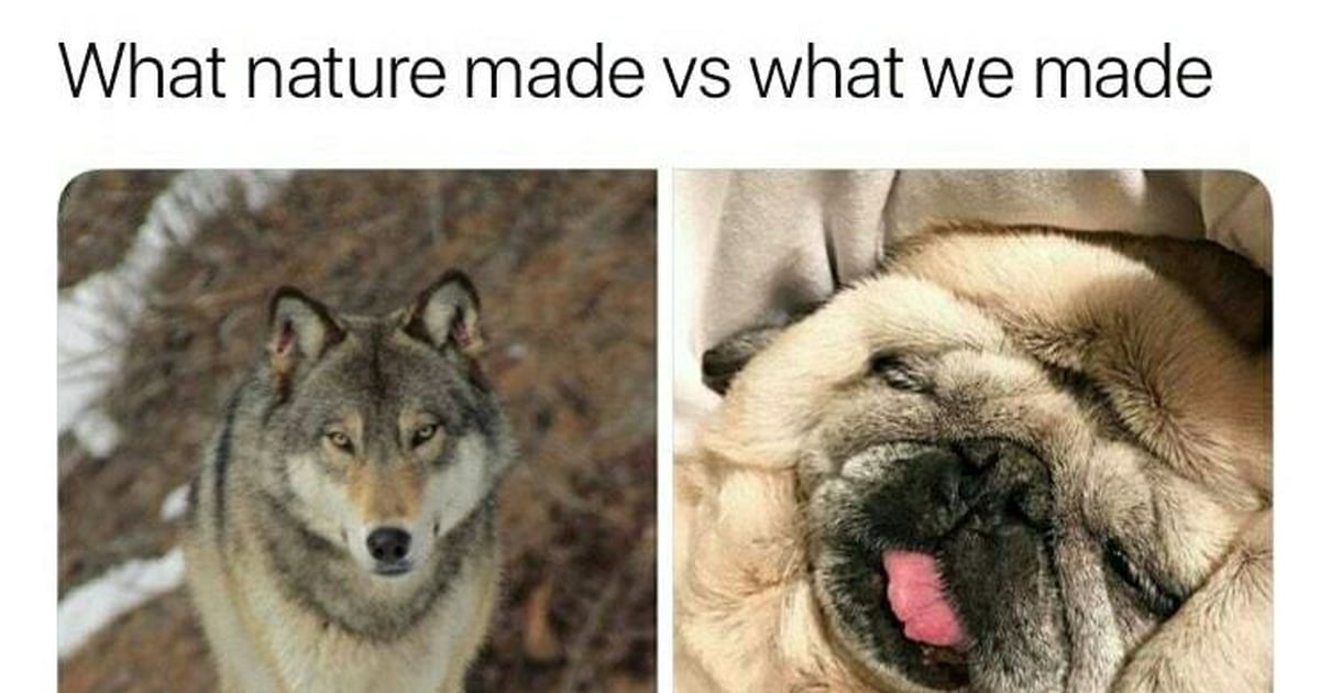 Not wrong though - 9GAG