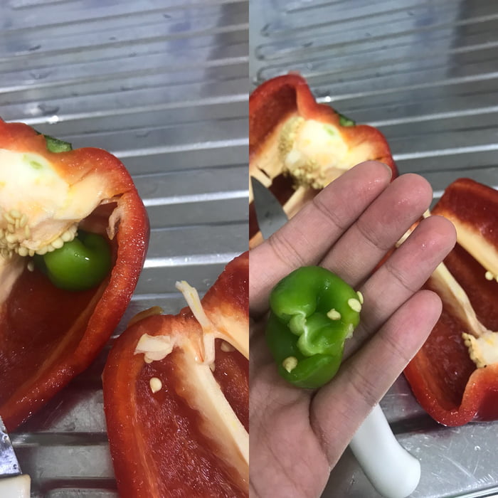 Pregnant bell pepper 9GAG