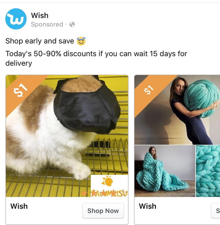 Is Wish trying to let me know my cat is into kinky stuff? 9GAG
