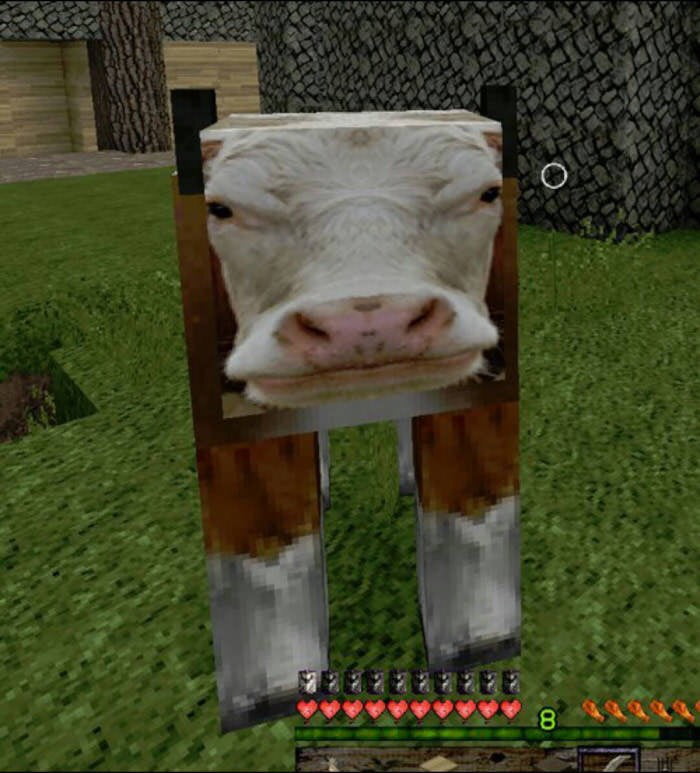 When someone complains that Minecraft isn't "realistic" - 9G...