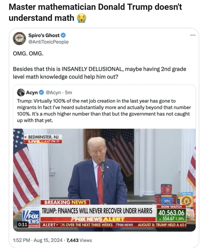 Illegal Immigrants Means