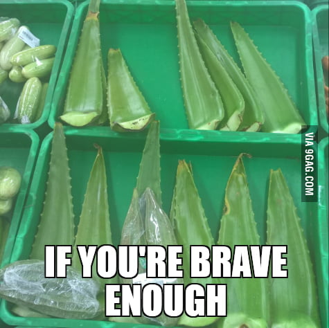 It S Literally Called Lidah Buaya Dragon S Tongue In English 9gag