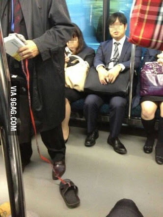 Image result for man on subway with sandal on leash