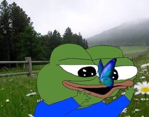 Spring Pepe - 9GAG